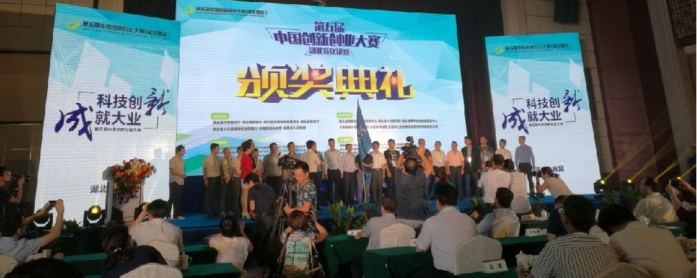 香港内部精准资料库